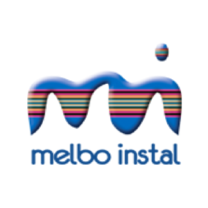 Mirel Hercul Borcovici